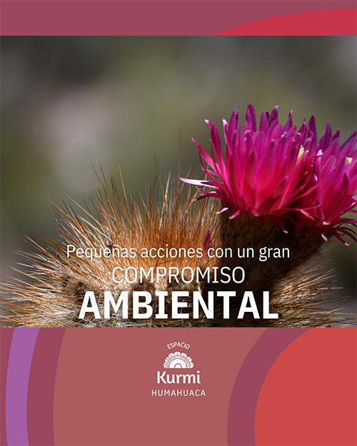 Emprendimiento con Compromiso Ambiental