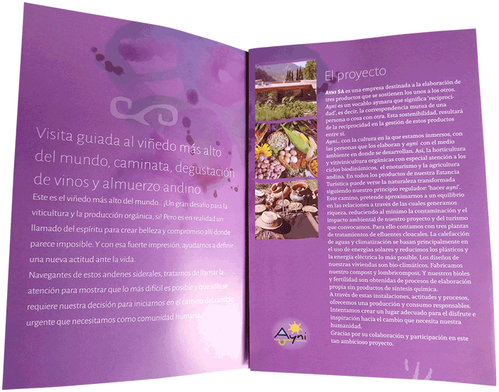 Trifolio-Diseño-Paula-Calvo